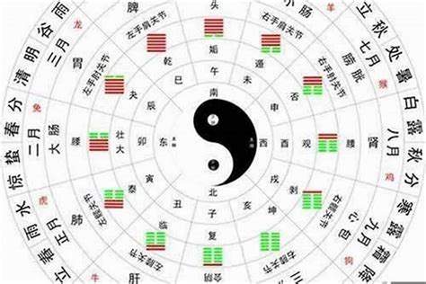 五行金多|简单学八字 